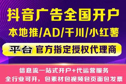 某行业领军企业的SEM广告投放策略