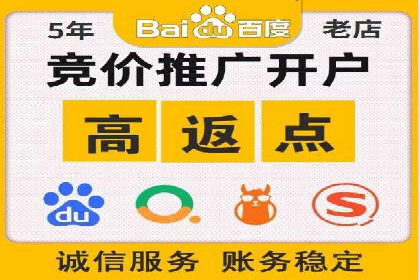 百度推广实战案例：成功之路